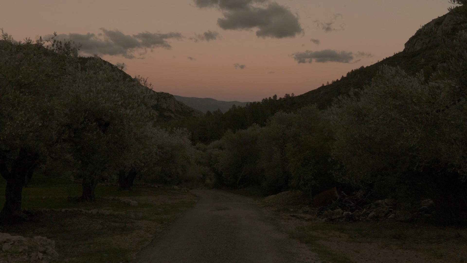 Abenddämmerung über dem Olivenhain im Naturpark Els Ports