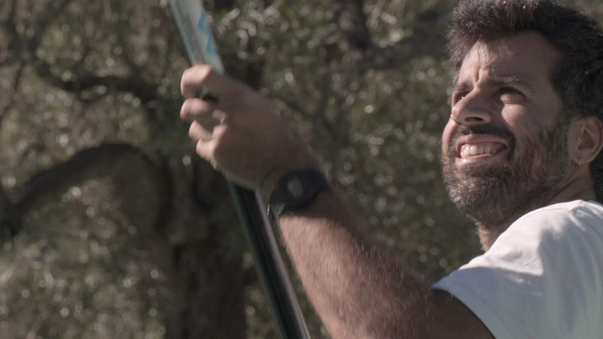 David lacht bei der Olivenernte